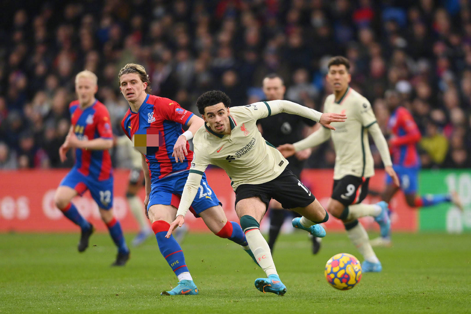 技术特点极 技术特点极